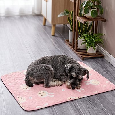Tapis Chien rafraichissant antidérapant