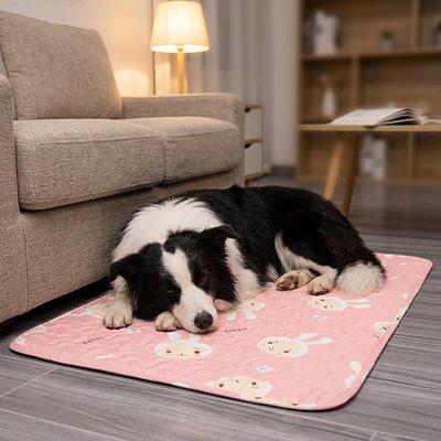 Tapis Chien rafraichissant rose