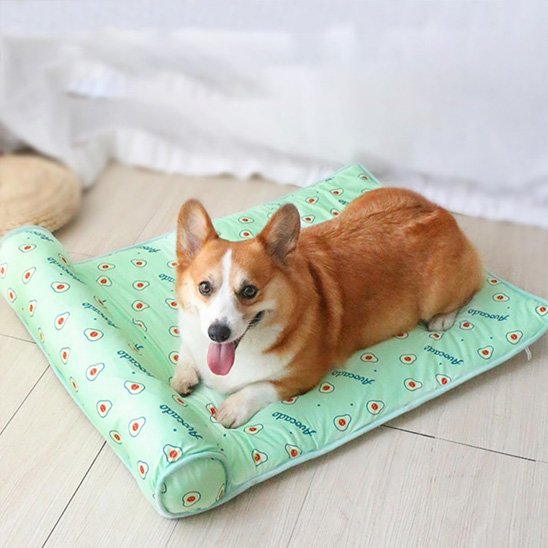 Tapis rafraichissant chien avec appuie tete