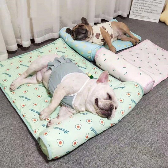 Tapis rafraichissant chien avec materiaux respirant 