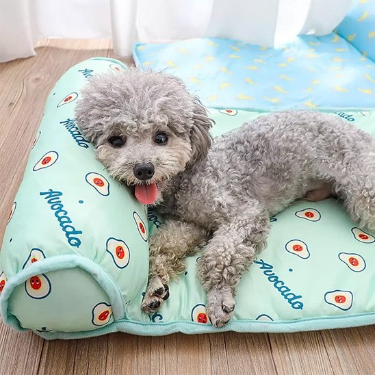 Tapis rafraichissant chien convient au petit et moyen chien