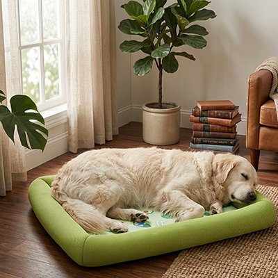 Tapis rafraichissant chien dessous antidérapant