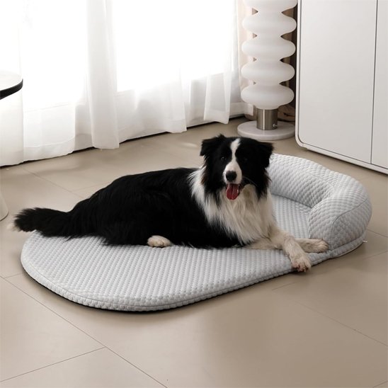 Tapis rafraichissant chien gris