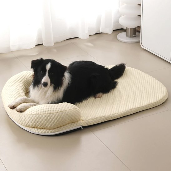 Tapis rafraichissant chien jaune