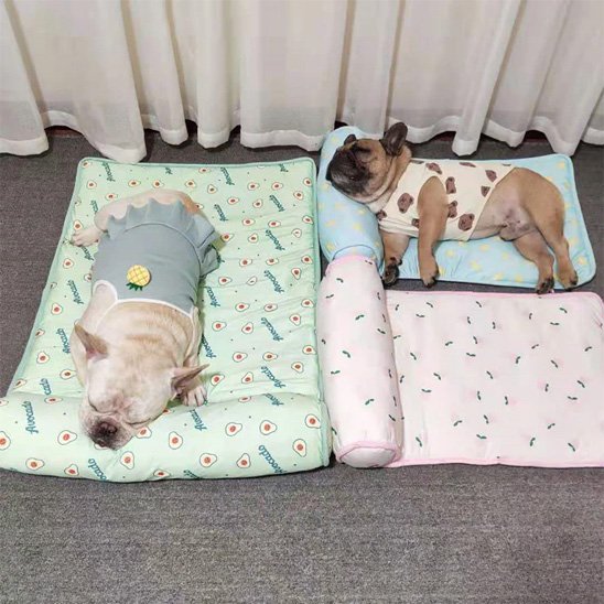 Tapis rafraichissant chien parfait pour periode chaude