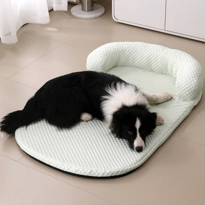 Tapis rafraichissant chien vert