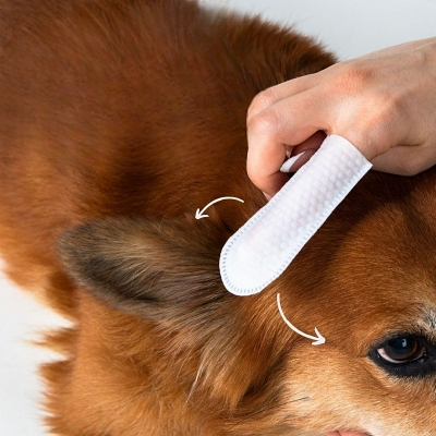 toilettage chien lingette nettoyante pour oreille