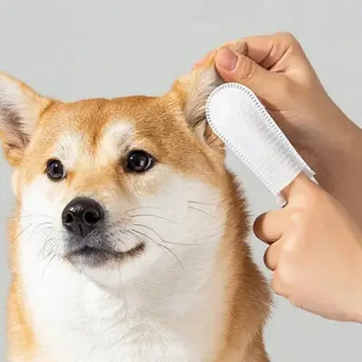 toilettage chien lingette nettoyante pour patte