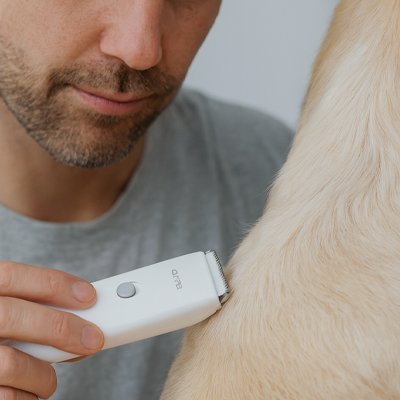 Tondeuse pour chien | Professionnelle Silencieuse - Royaume aniwoof